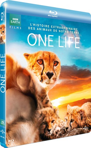 One Life : c'est l'histoire de la vie