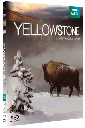 Yellowstone, la lutte pour la vie : la magie de la nature