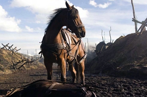 Cheval de guerre : le nouveau Spielberg approche Cheval de guerre : le nouveau Spielberg approche