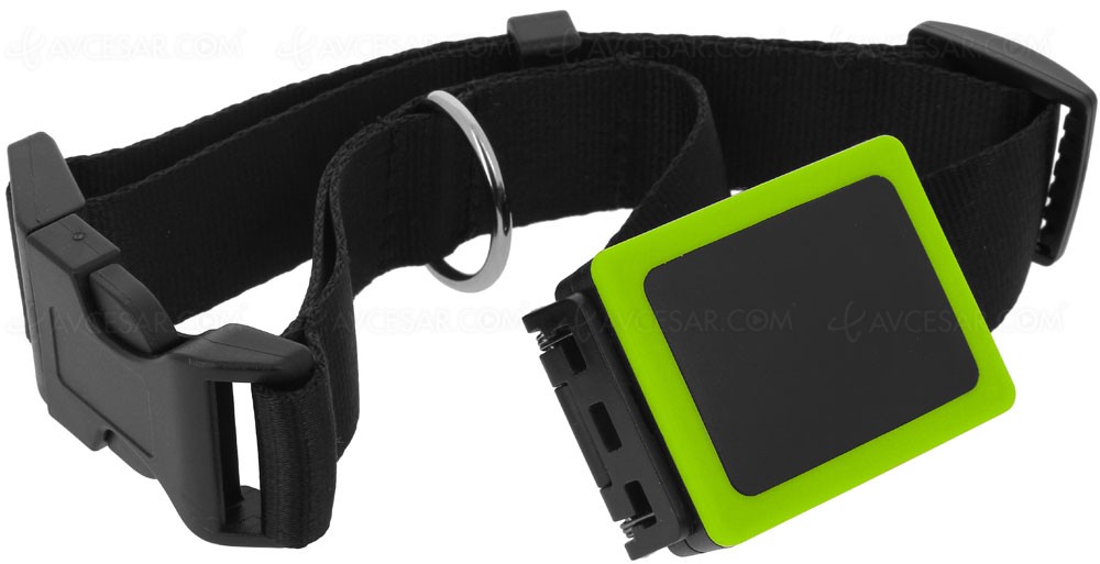 Quel GPS pour mon chien choisir Weenect-pets-collier-gps-pour-chien_054501
