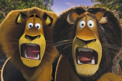 rencontre film court madagascar