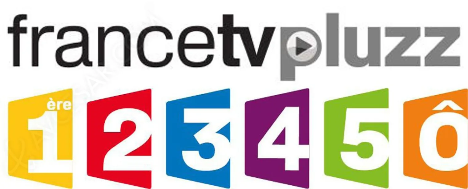 les-smart-tv-sony-accueillent-pluzz