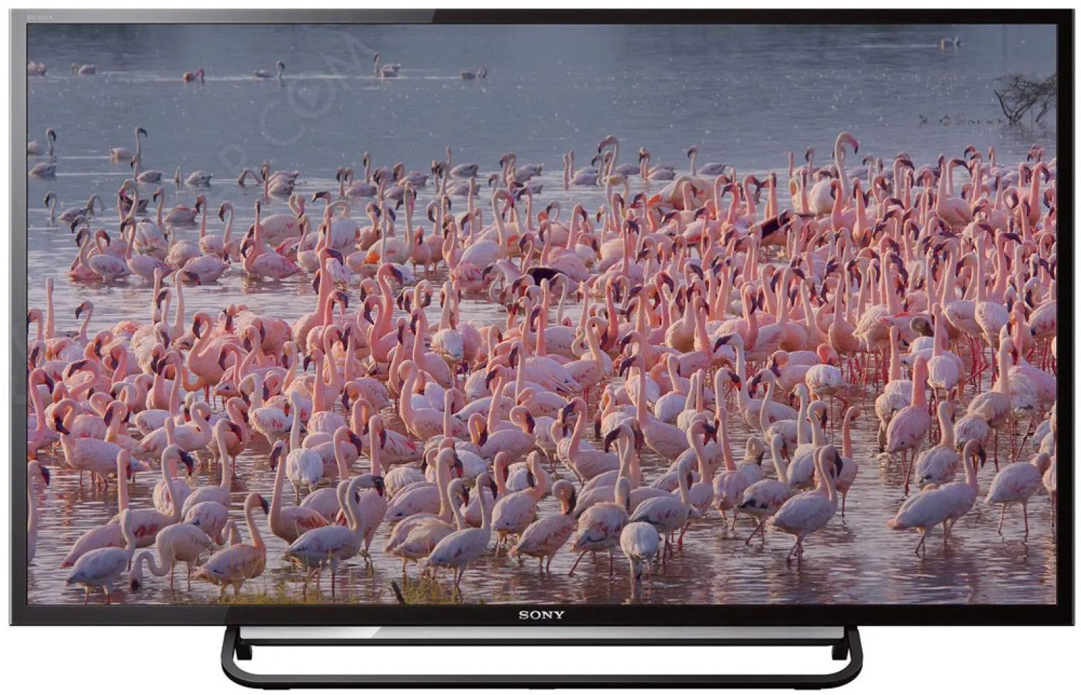 tv-led-sony-r430bb-sony-r480bb