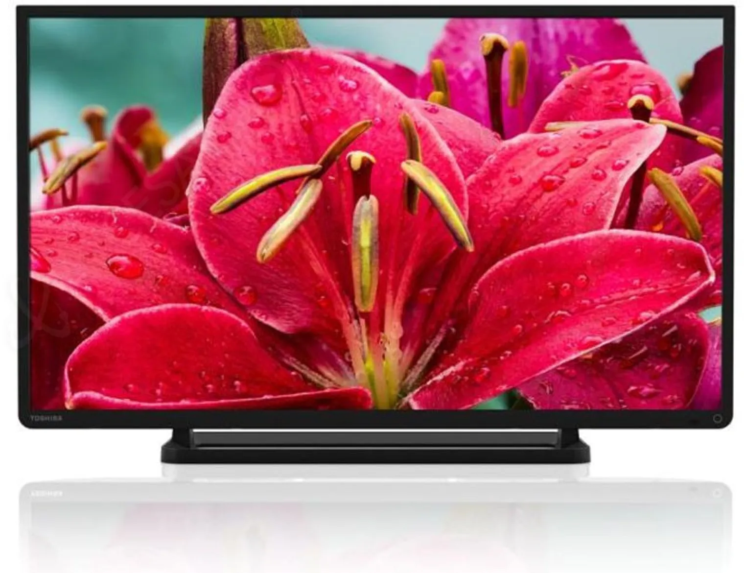 ifa-14-tv-led-toshiba-l2456