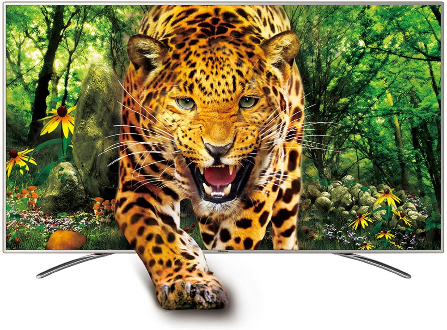 ifa-14-tv-led-ultra-hd-hisense