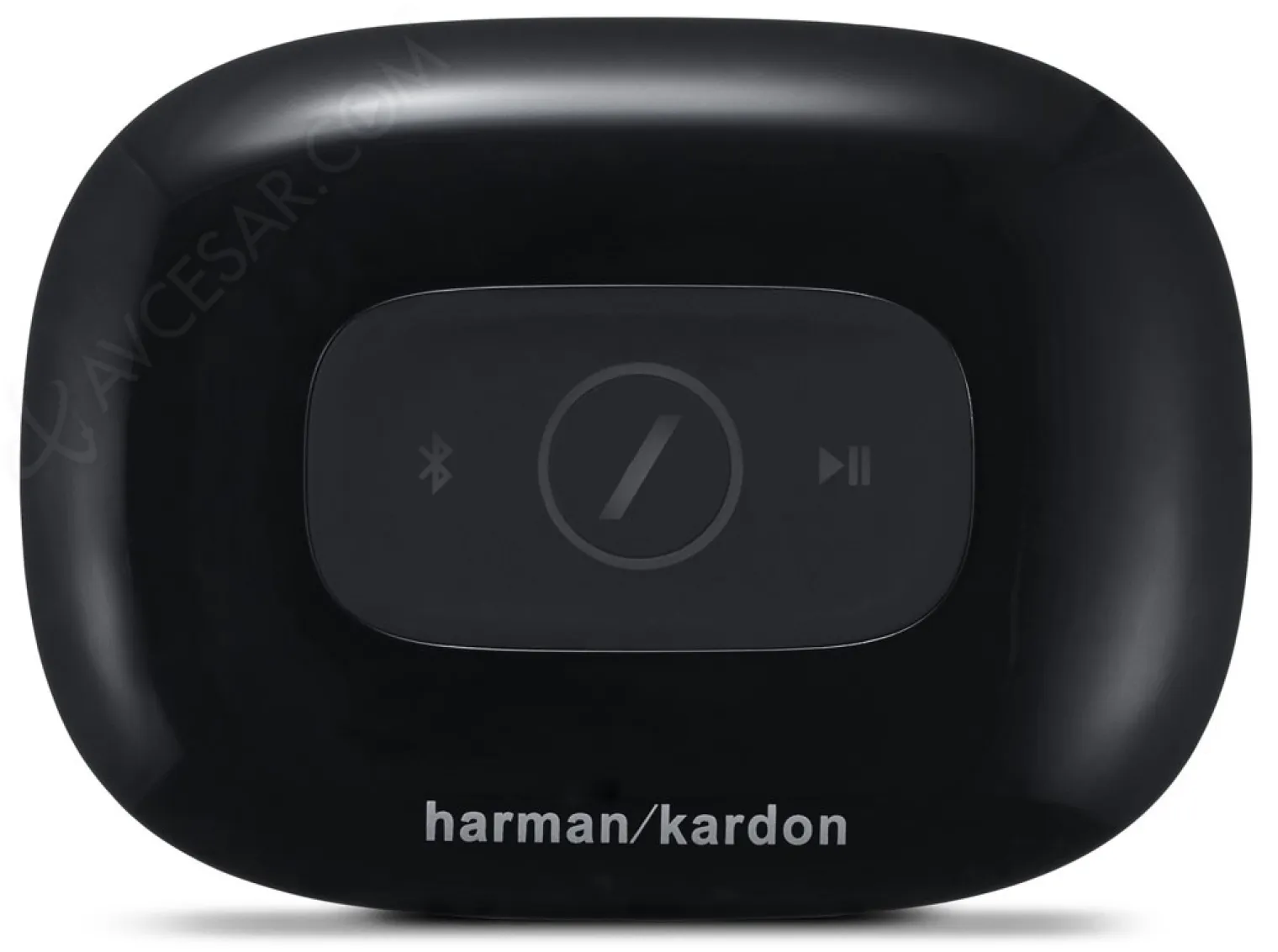 harman-kardon-adapt