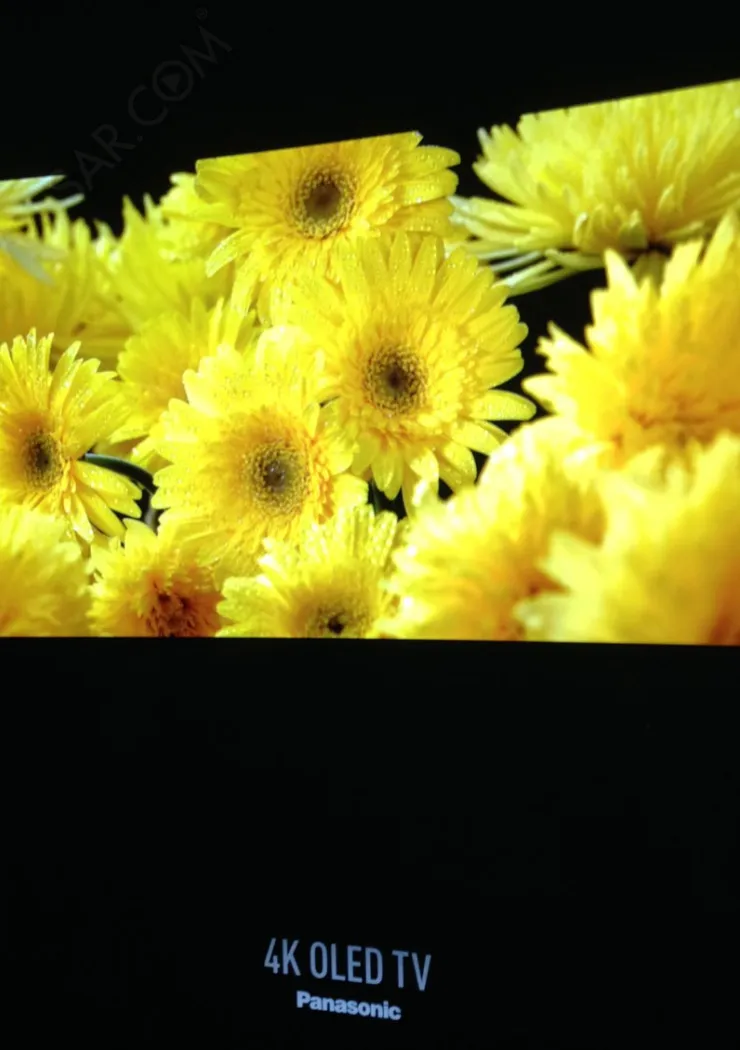 un-oled-panasonic-65-avant-la-fin-d-annee