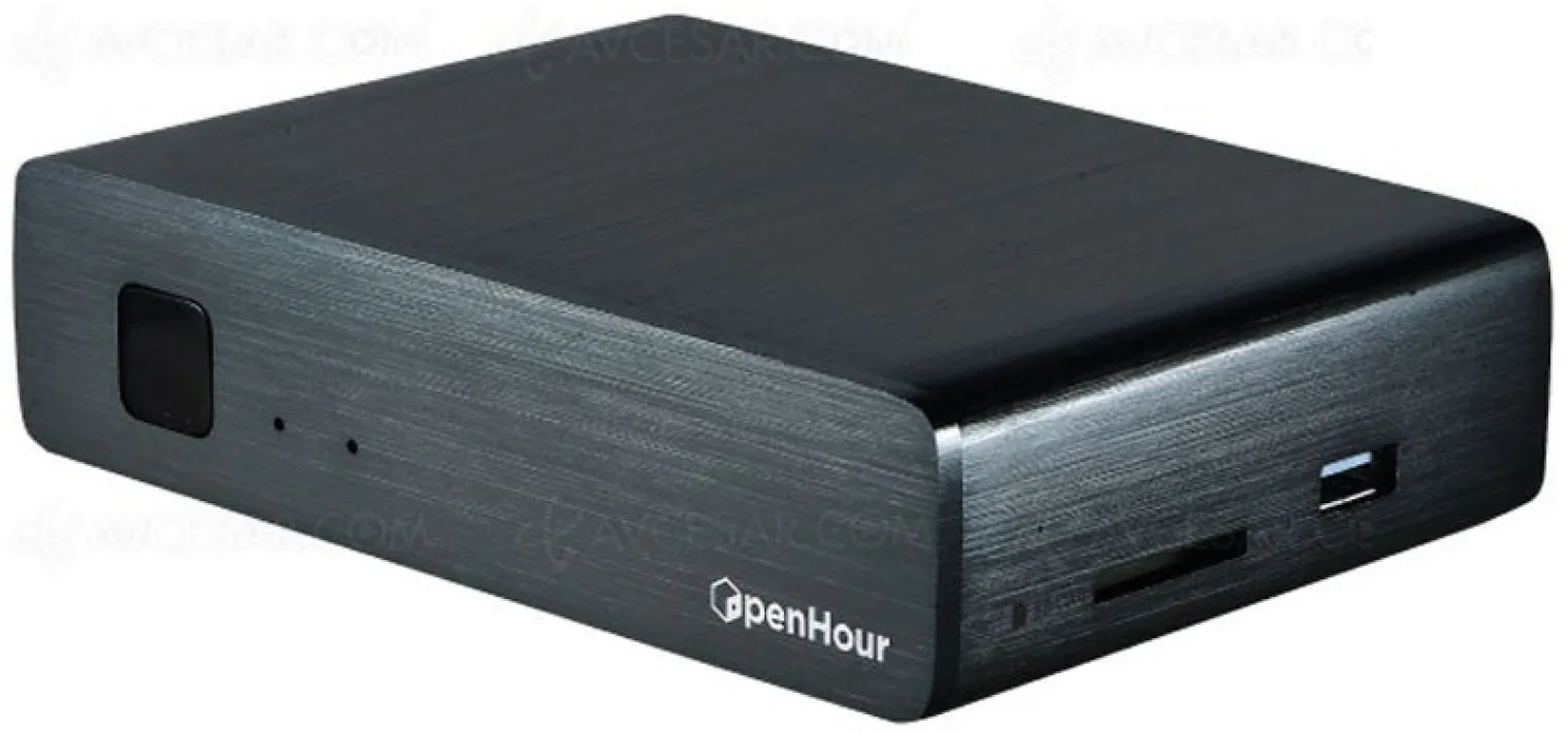 open-hour-chameleon-4k-ultra-hd