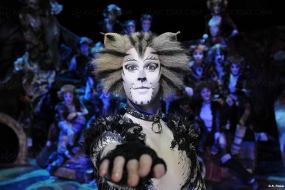 Cats le musical : de Broadway à Paris le 1er octobre 2015