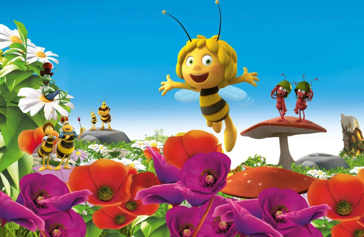 maya-l-abeille