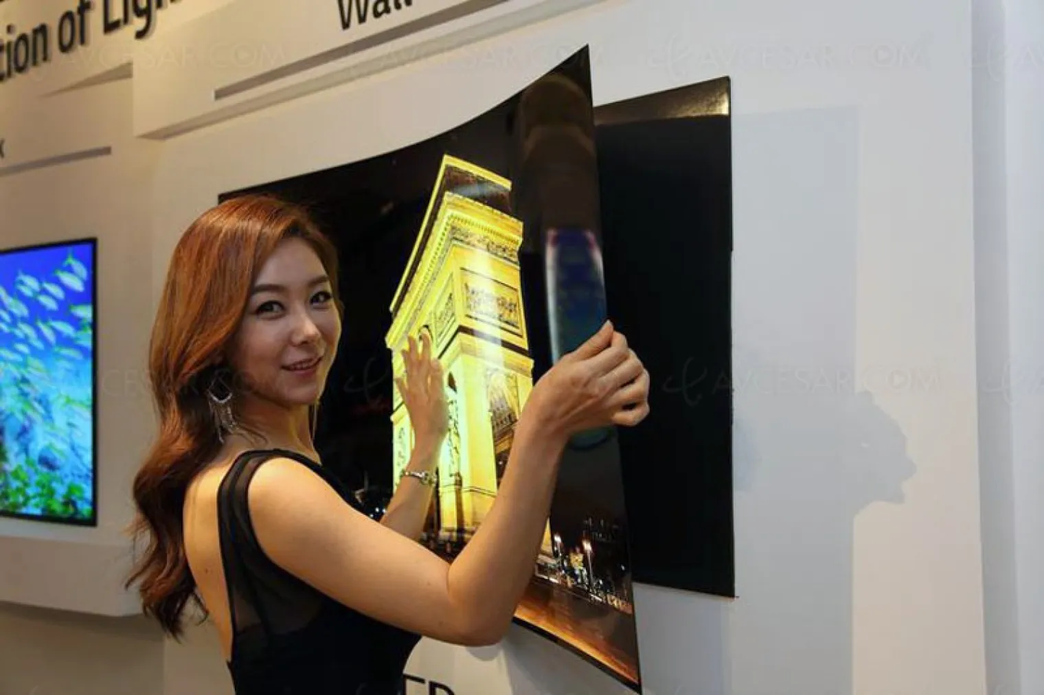 tv-oled-lg-display-55