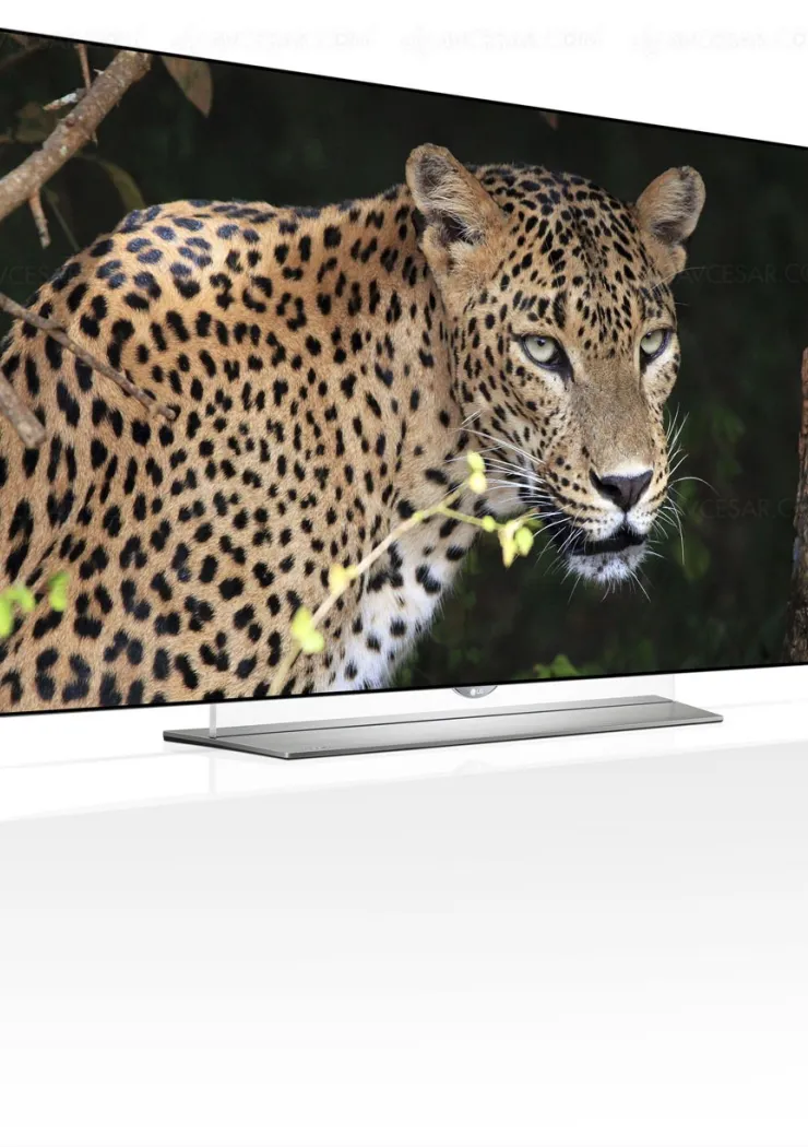 ifa-15-tv-oled-ultra-hd-lg-ef950v