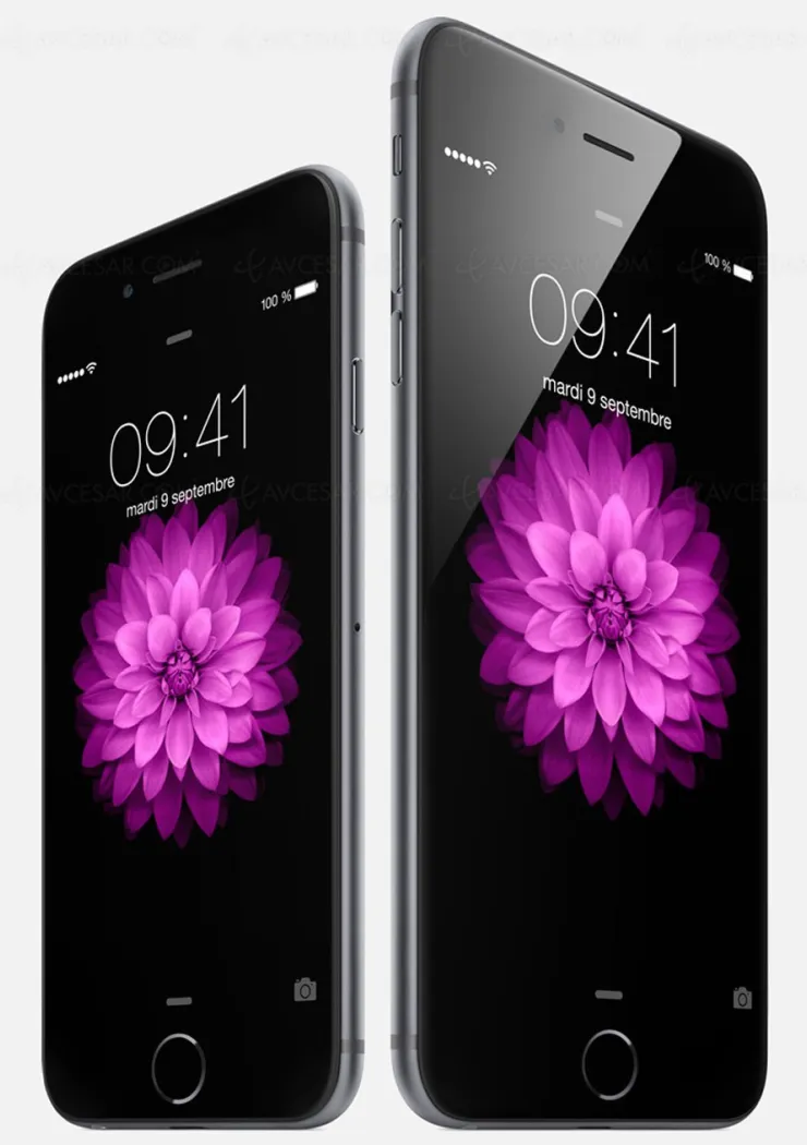samsung-et-lg-signent-avec-apple