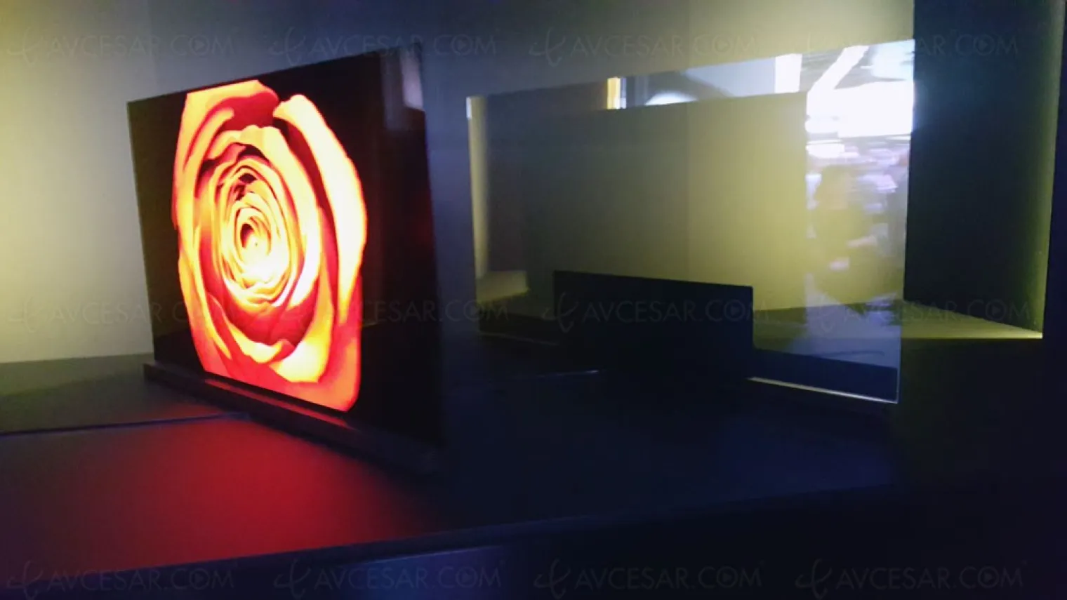 ces-16-tv-oled-lg-g6-e6