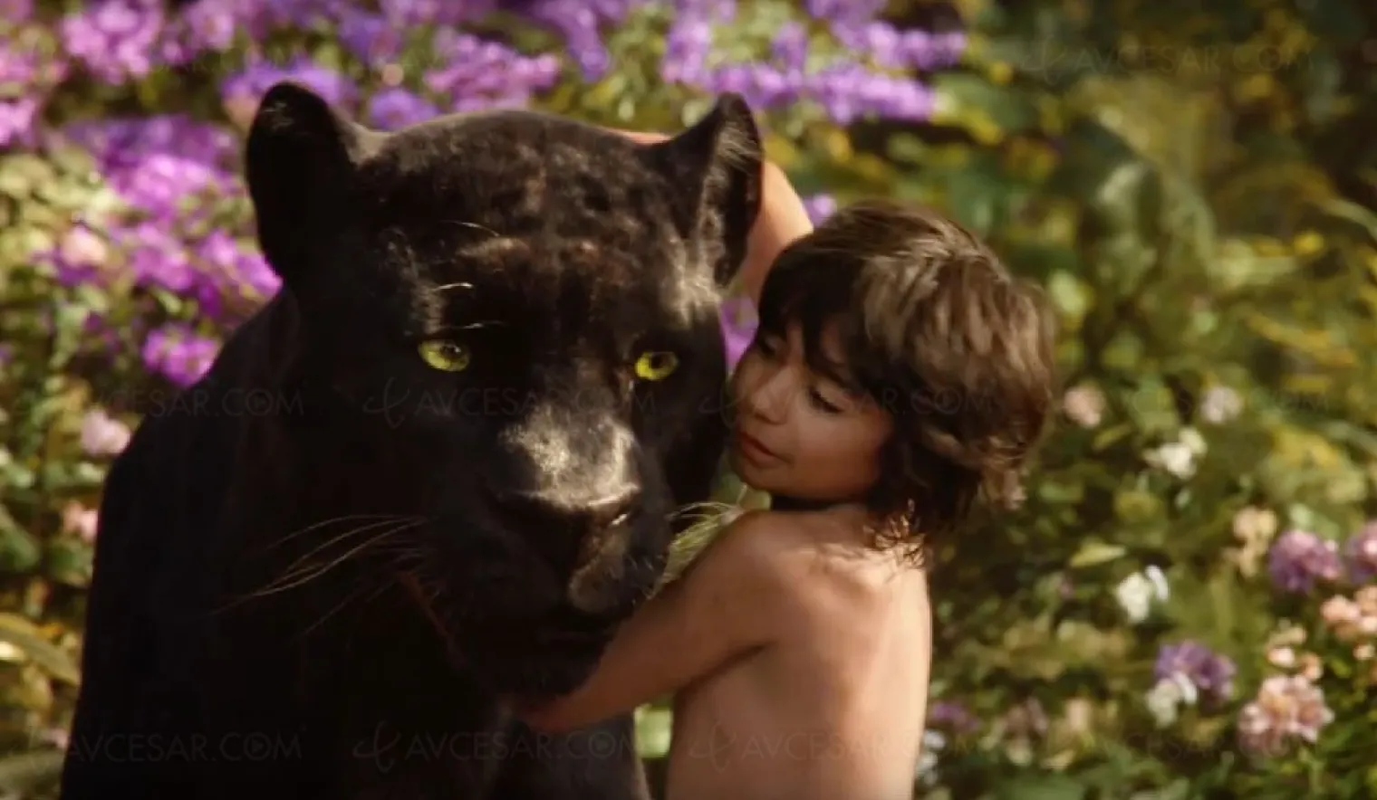 le-livre-de-la-jungle-2016-vs-version-1967