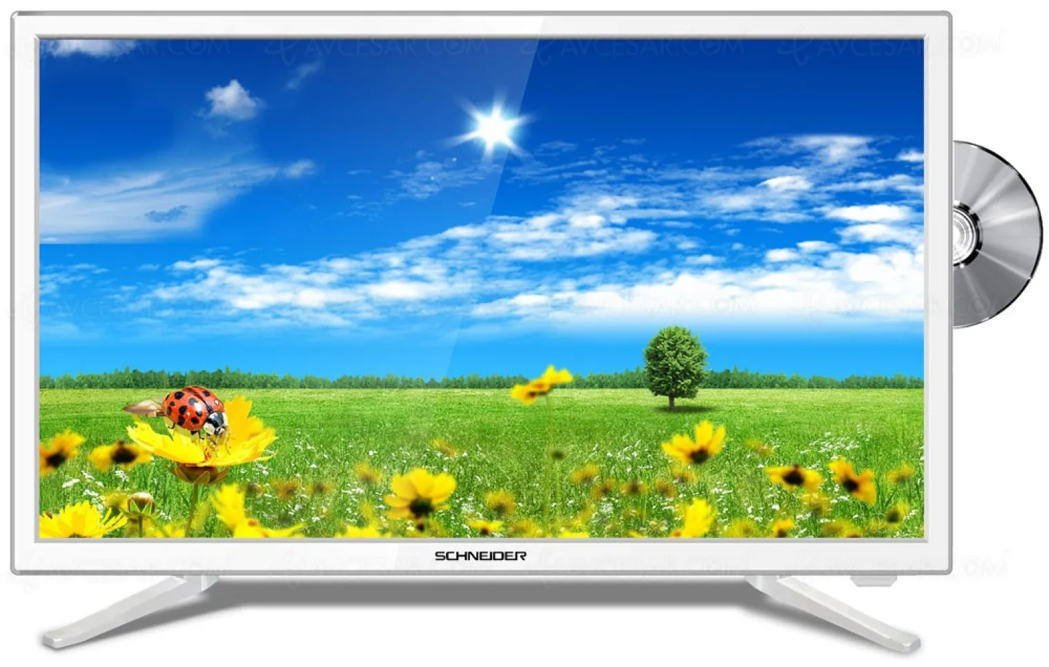 tv-led-schneider-scf06