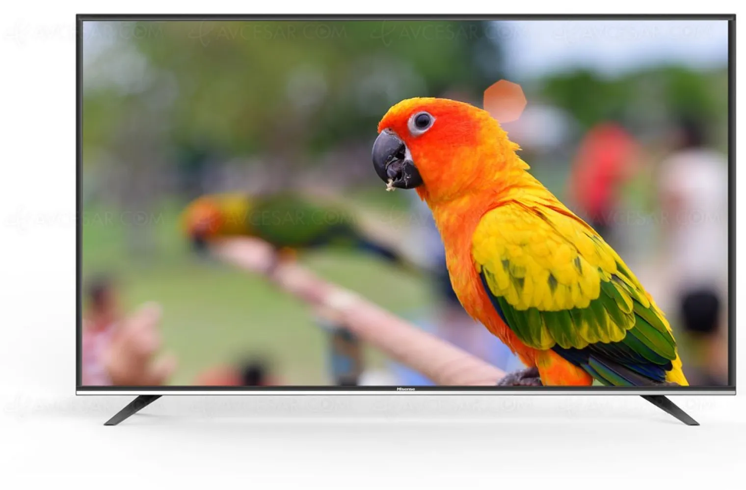 tv-hisense-m3300