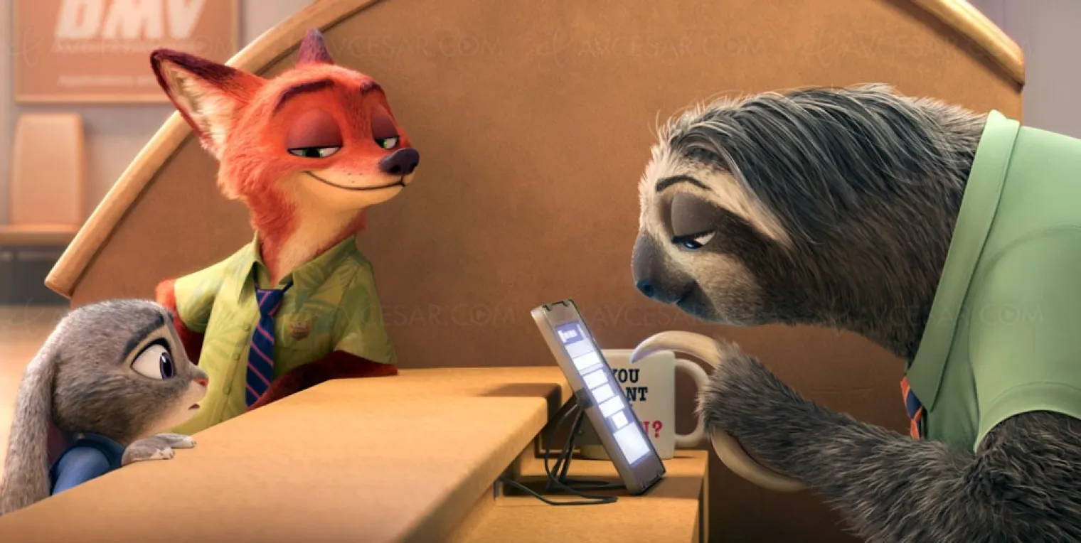 zootopie-polar-animalier-chez-disney