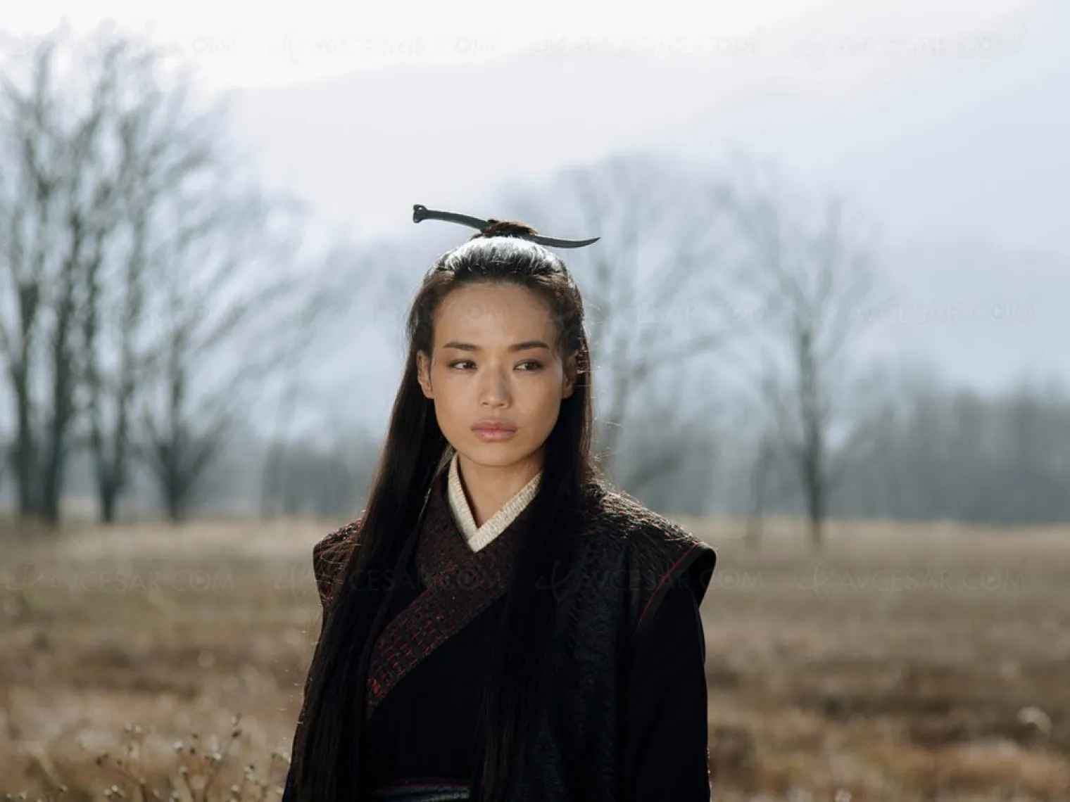 the-assassin-ou-le-grand-retour-de-hhh