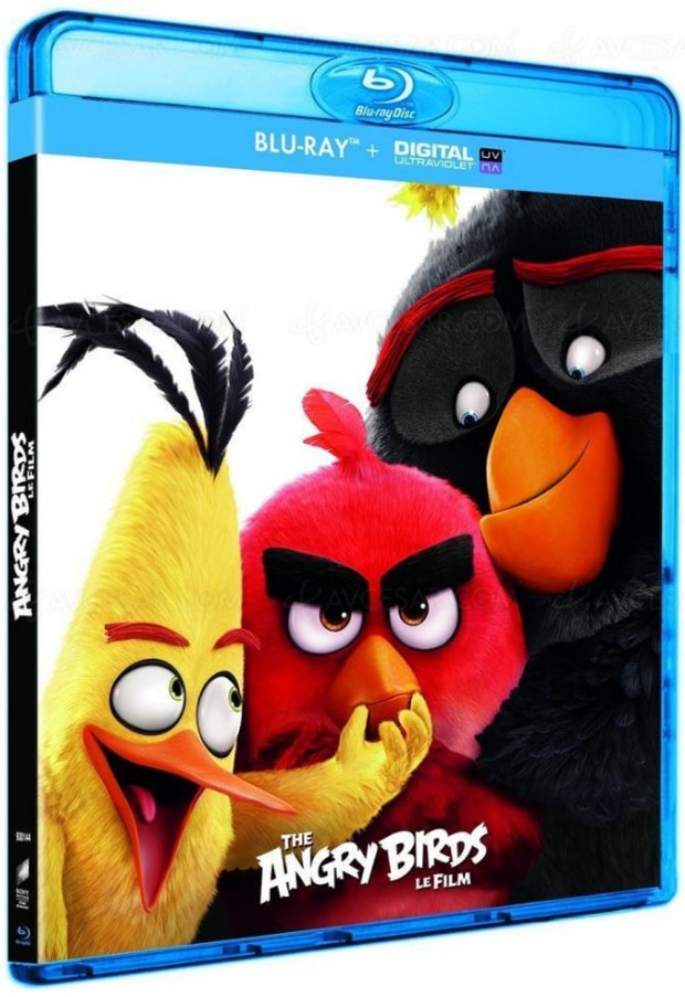 Red dingues de Angry Birds ?