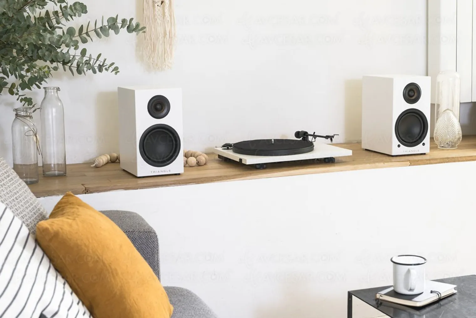 enceintes-actives-et-bluetooth-triangle-elara-ln01a