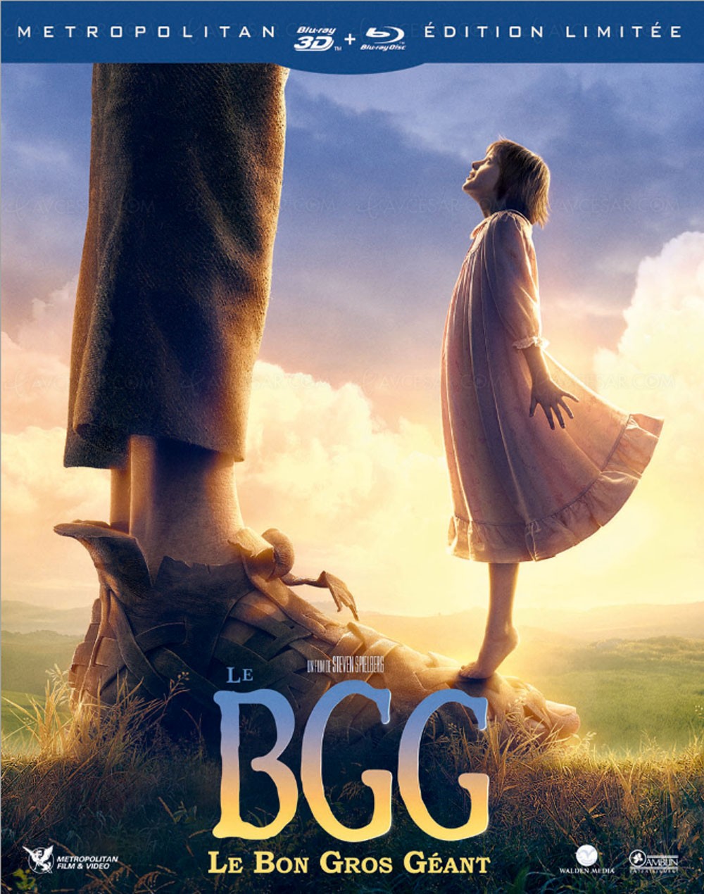 Le Bon Gros Géant Questionnaire De Lecture Le bon gros géant en film et en animation