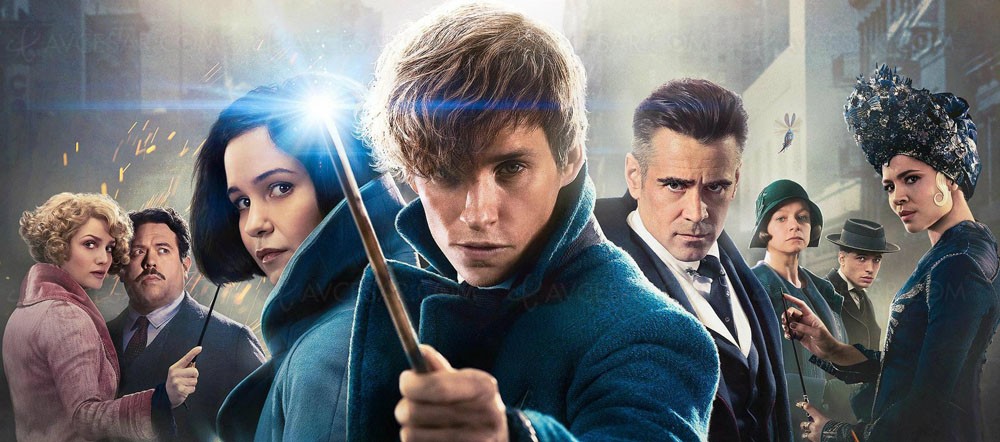 Harry Potter Les Animaux Fantastiques L Ultra Hd Blu Ray Partout