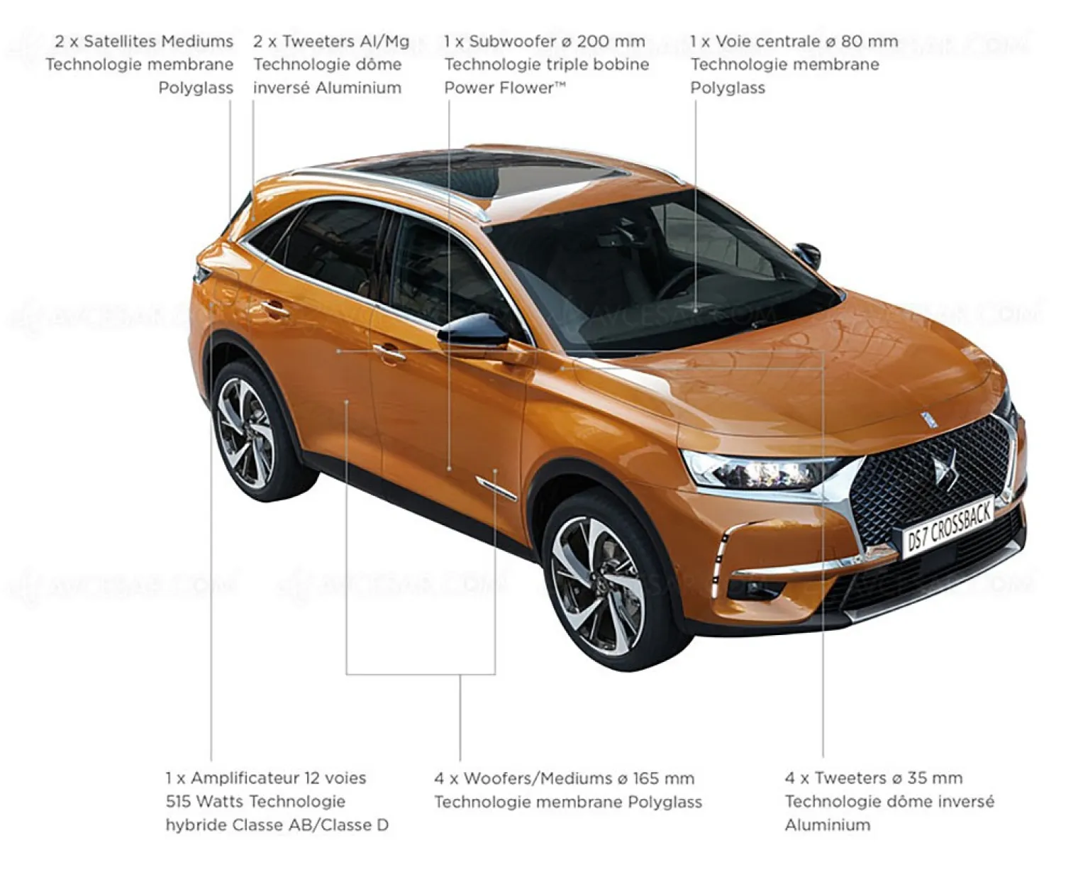 14-haut-parleurs-dans-la-ds-7-crossback-merci-focal