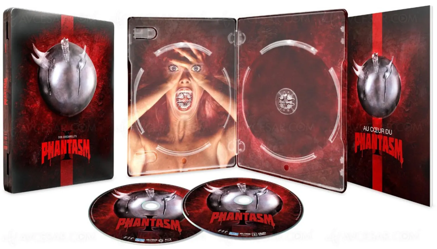 phantasm-pour-la-premiere-fois-en-dvd-et-blu-ray-fantastiquement-terrifiant