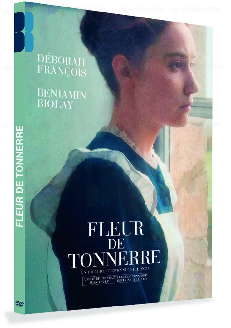 fleur-de-tonnerre-un-conte-de-bretagne-par-stephanie-pillonca-kervern
