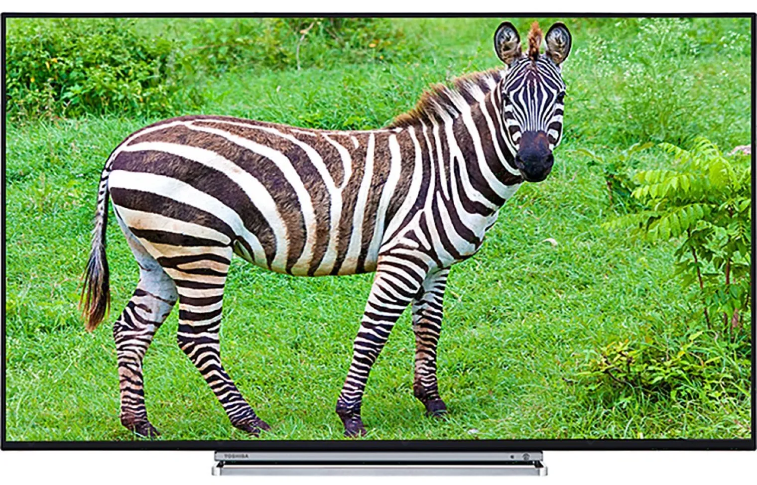 tv-lcd-ultra-hd-toshiba-u5766-43-49-et-55-en-approche