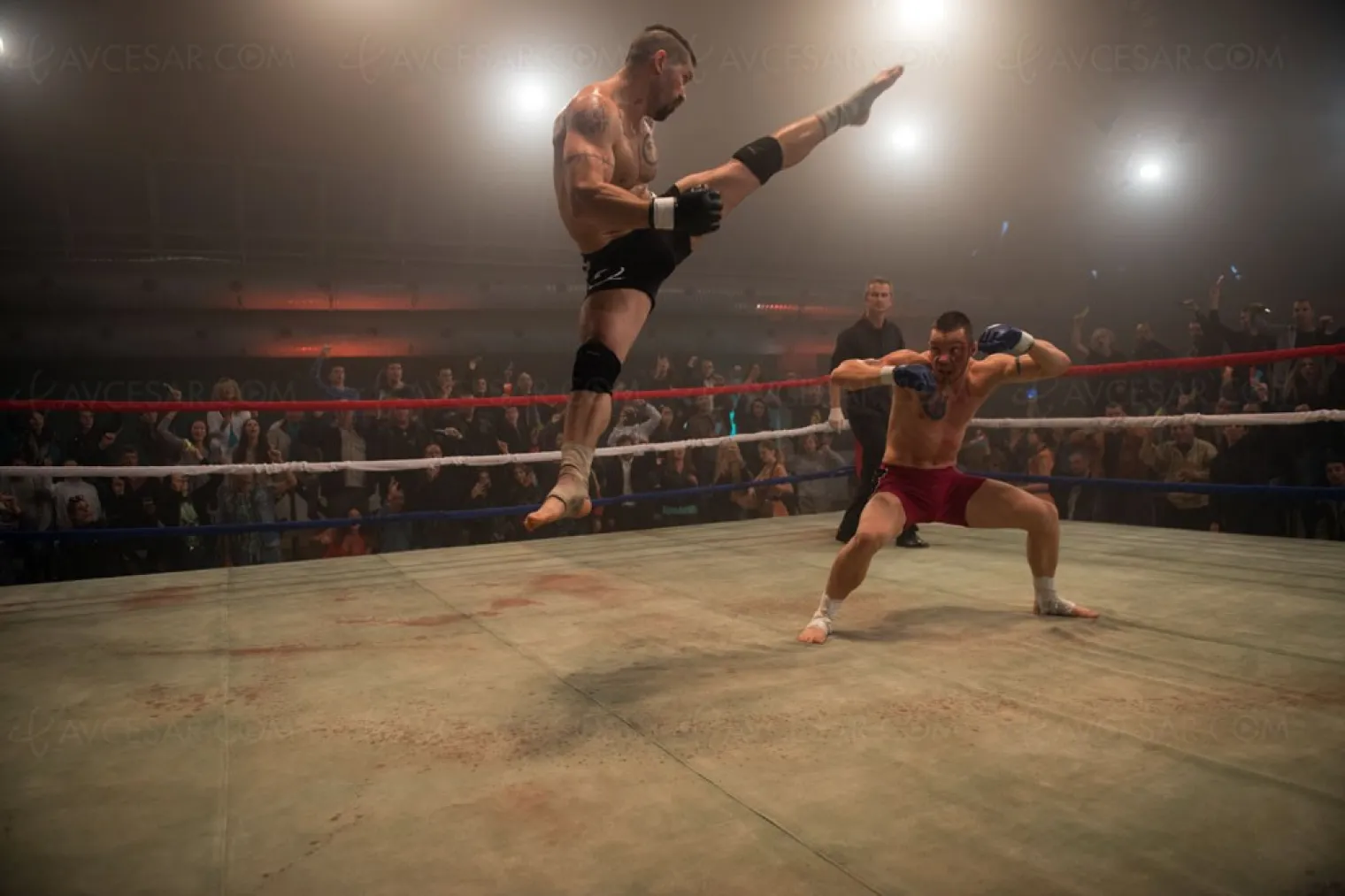 boyka-avec-scott-adkins-le-nouveau-volet-de-la-saga-de-combat-debarque-le-5-aout