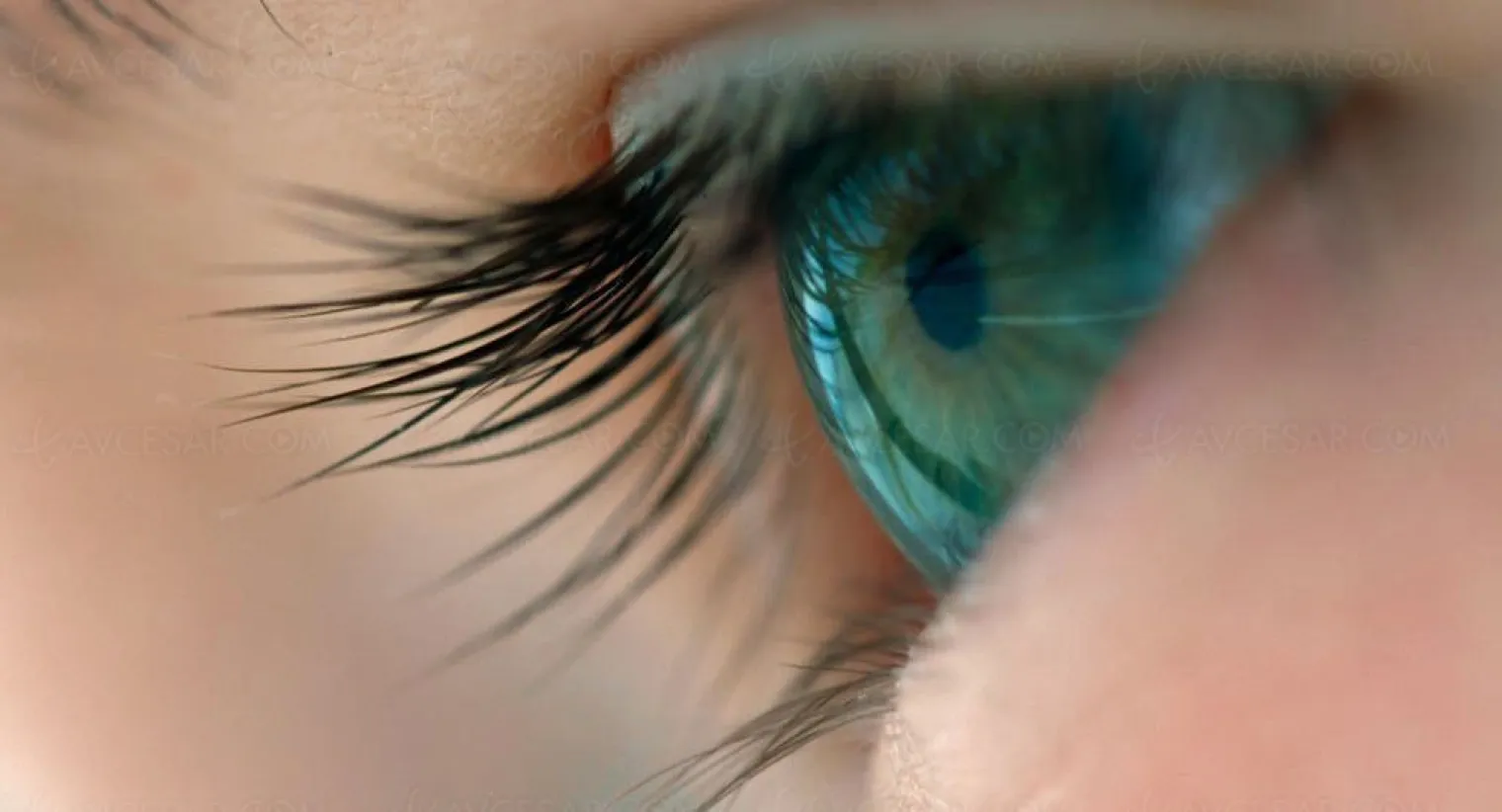 voyage-of-time-au-fil-de-la-vie-terrence-malick-interroge-l-univers