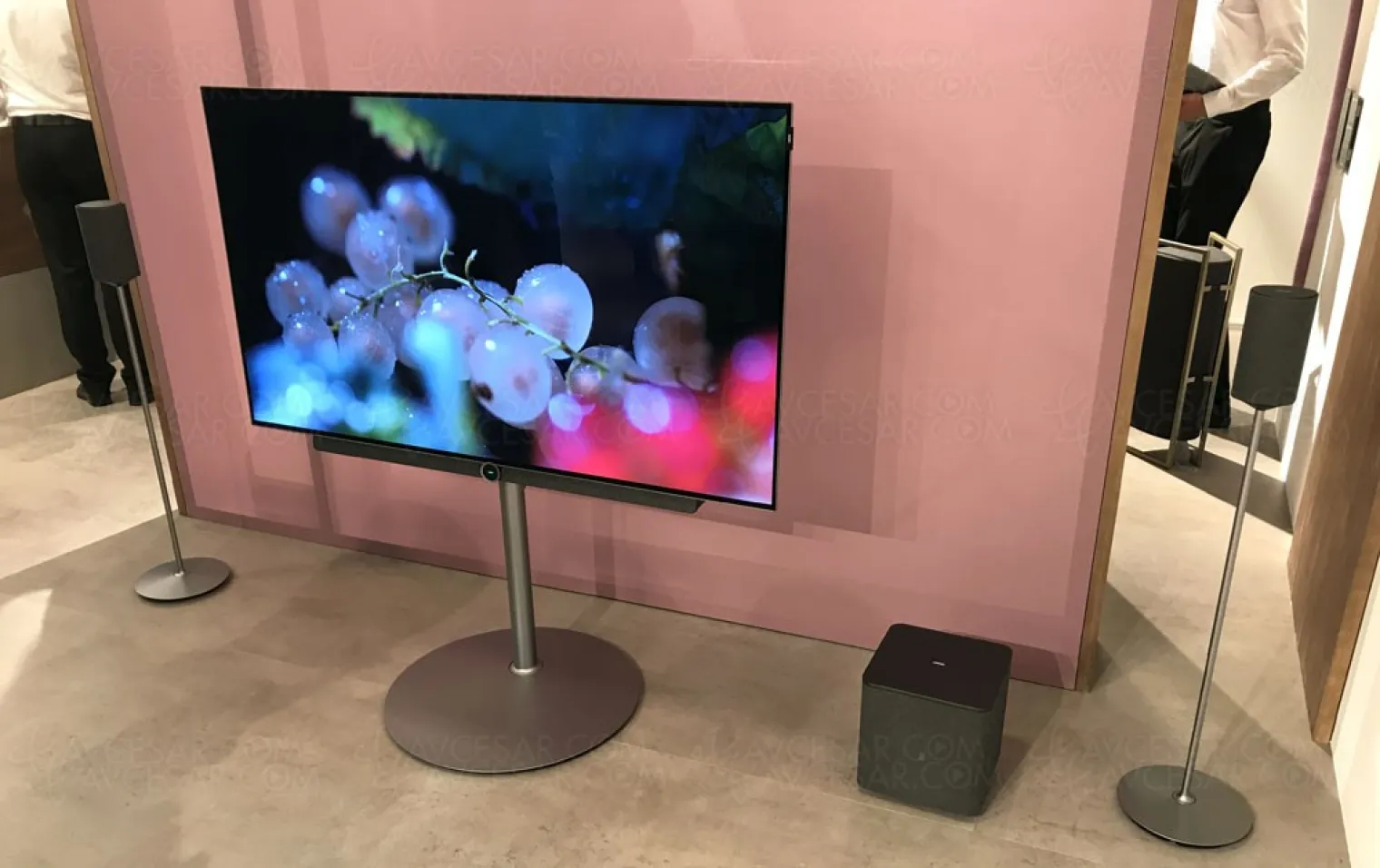 ifa-17-tv-oled-ultra-hd-plat-loewe-bild-3-55-55-en-approche