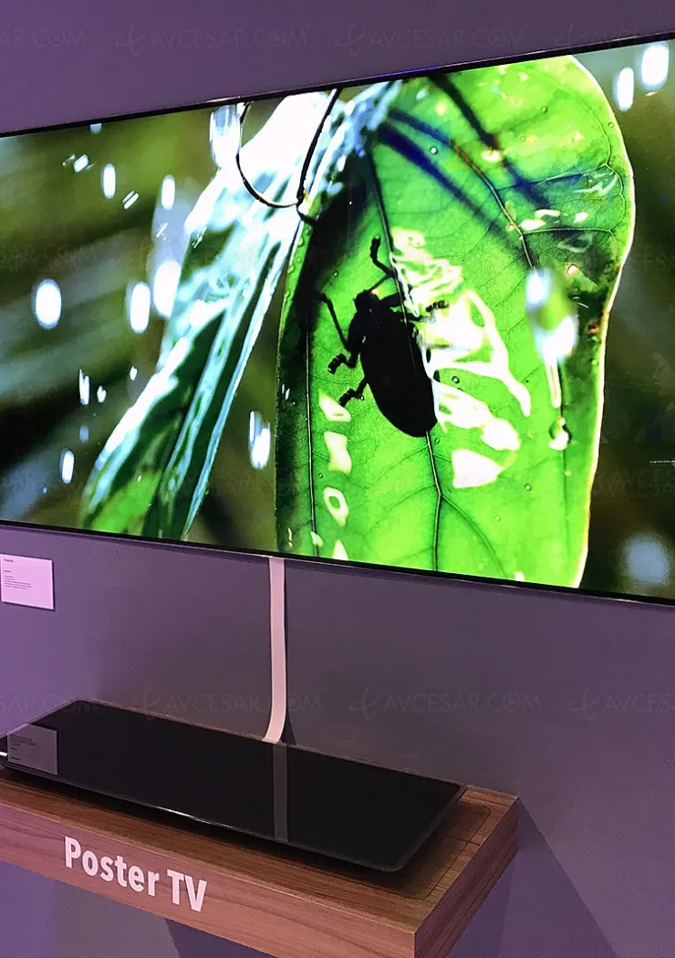 ifa-17-encore-un-concept-tv-oled-wallpaper-signe-toshiba-avec-le-poster-tv