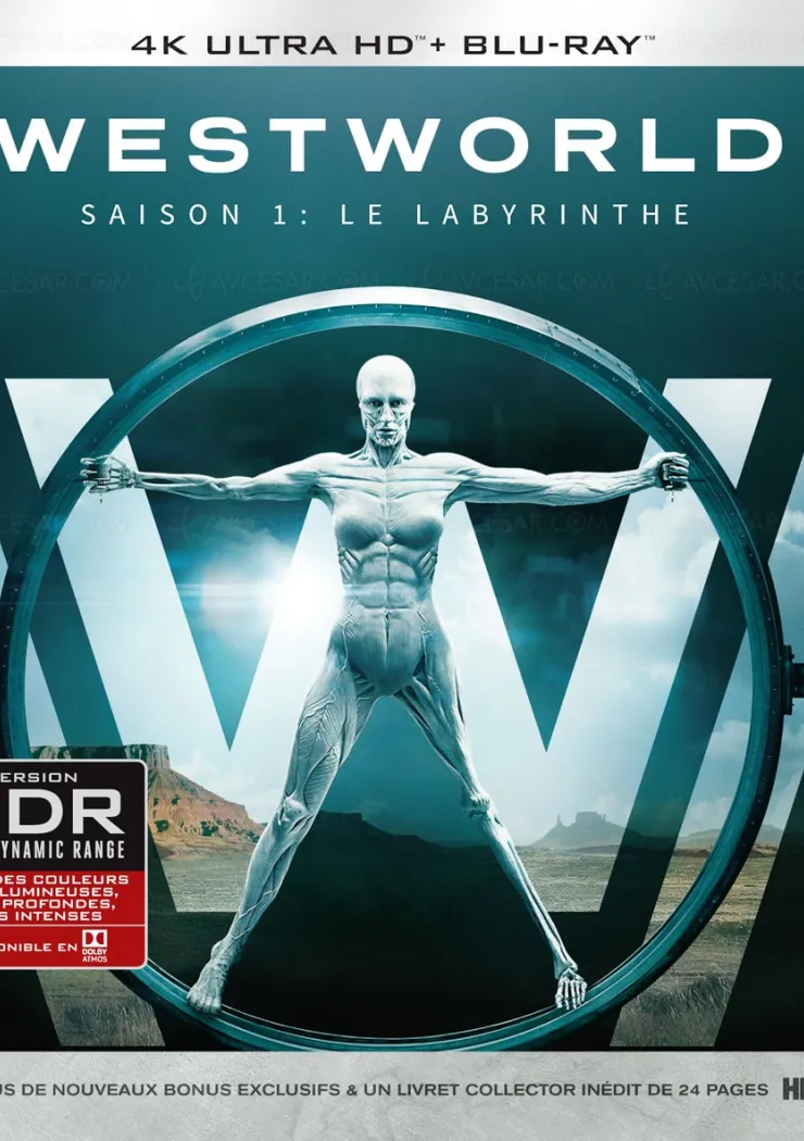 westworld-premier-4k-ultra-hd-blu-ray-et-premier-titre-dolby-vision-dolby-atmos-pour-warner