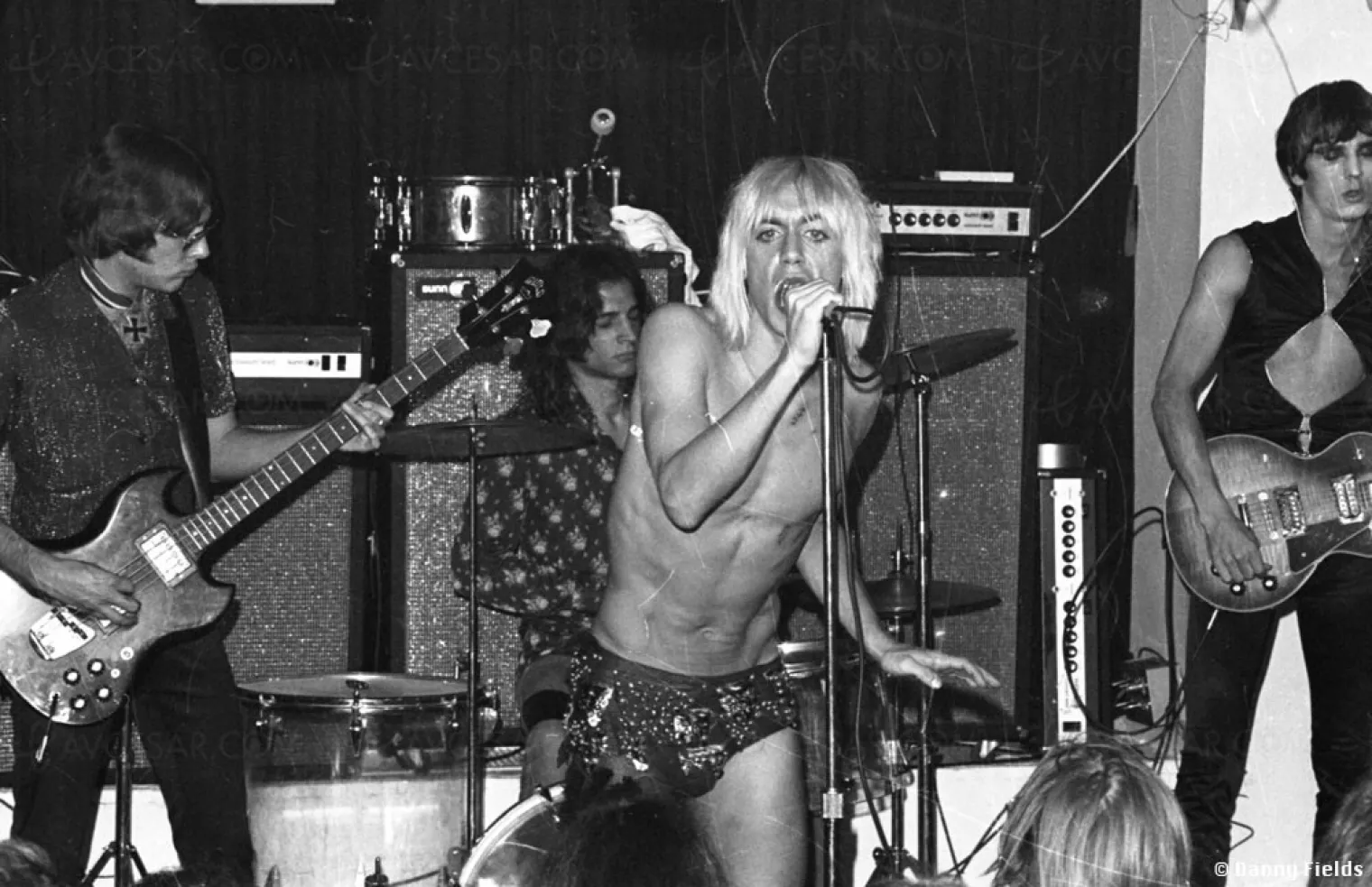 gimme-danger-l-histoire-des-stooges-racontee-par-jim-jarmusch
