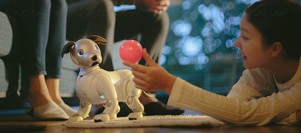 CES 2018] Sony remet sur le tapis son robot-chien Aibo et le