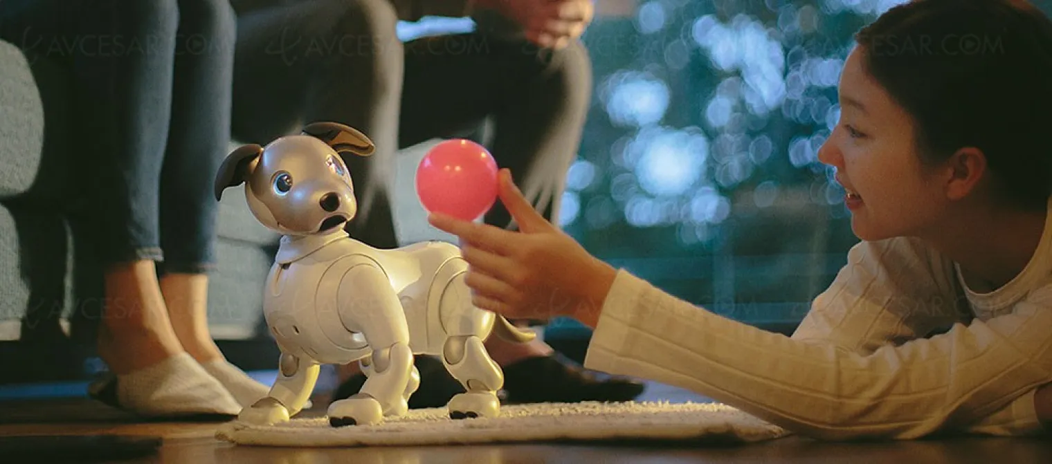 aibo-le-retour-du-chien-robot-de-sony-annonce-pour-2018