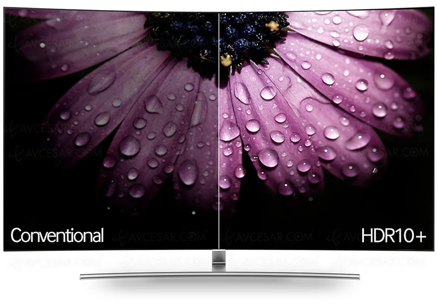 philips-choisit-le-hdr10-pour-ses-tv-et-pas-le-hdr-dolby-vision