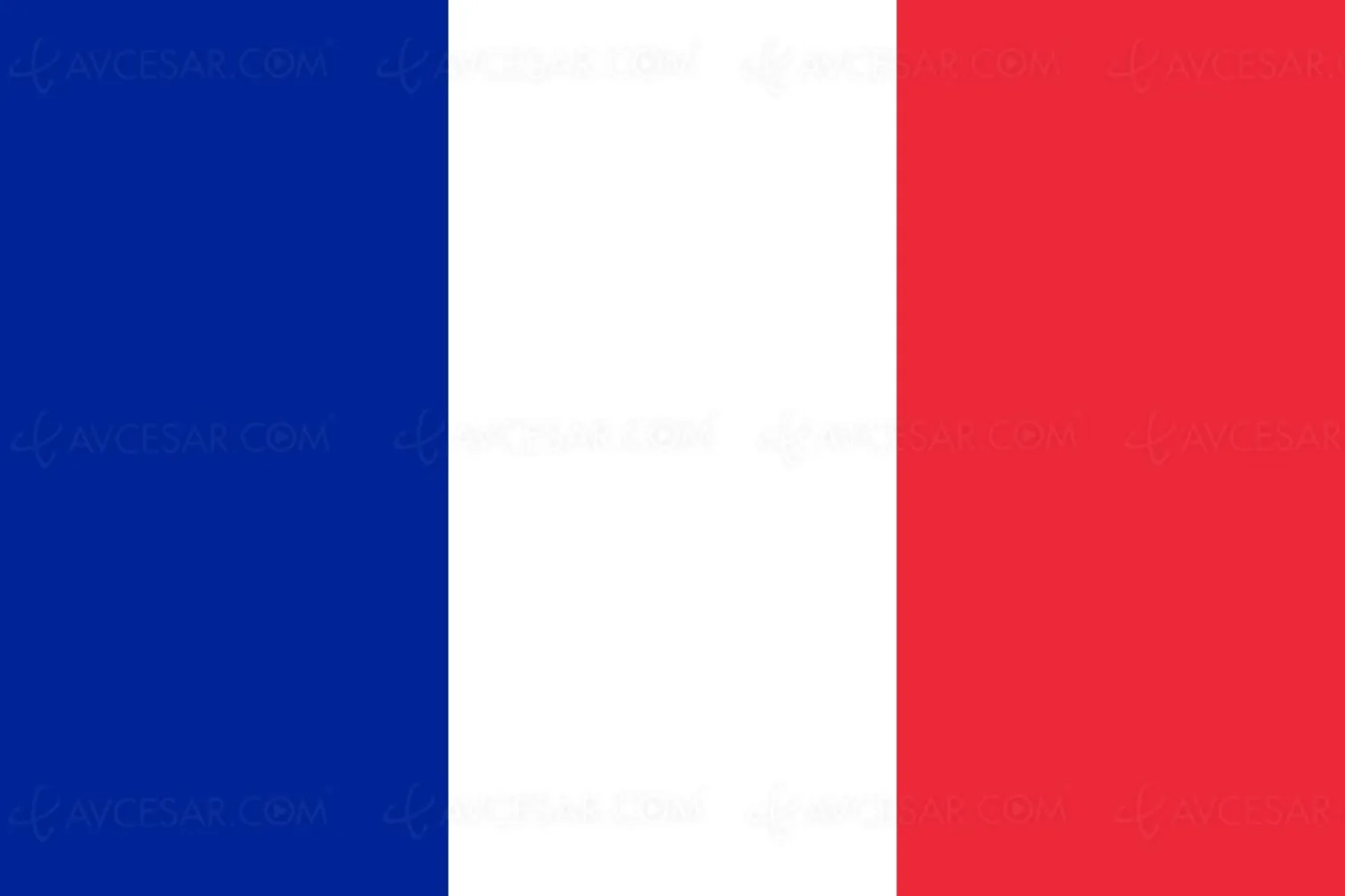 de-plus-en-plus-de-francais-regardent-la-tv-sur-un-ecran-secondaire