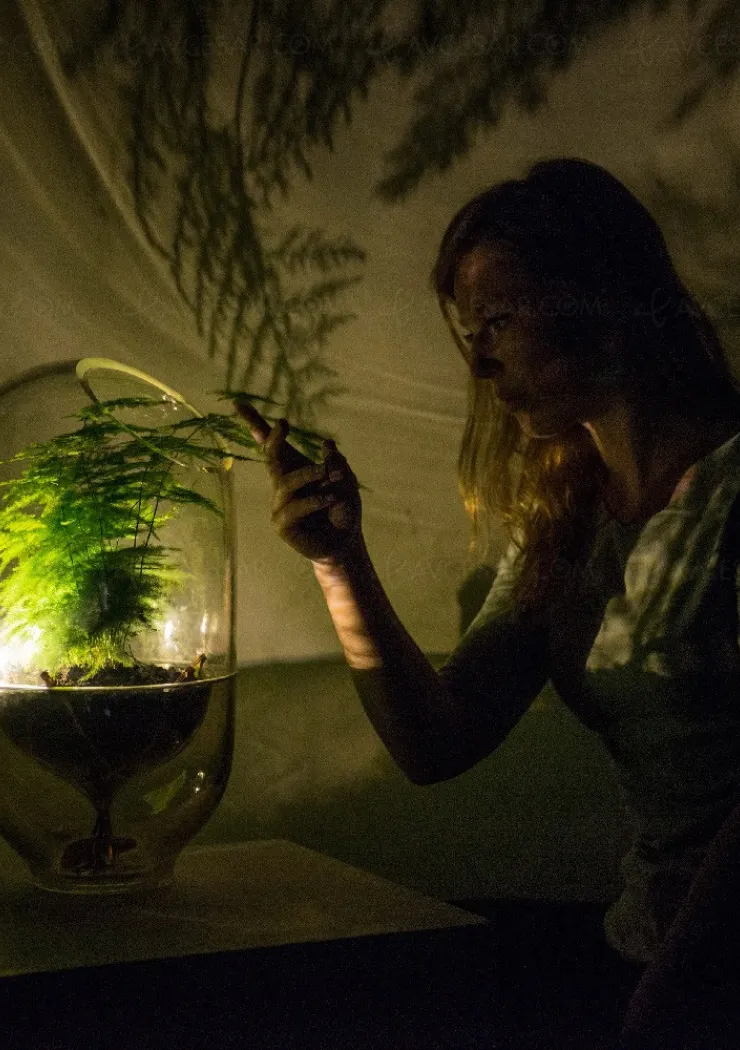 lampe-alimentee-par-une-plante-d-extraordinaires-possibilites-a-venir