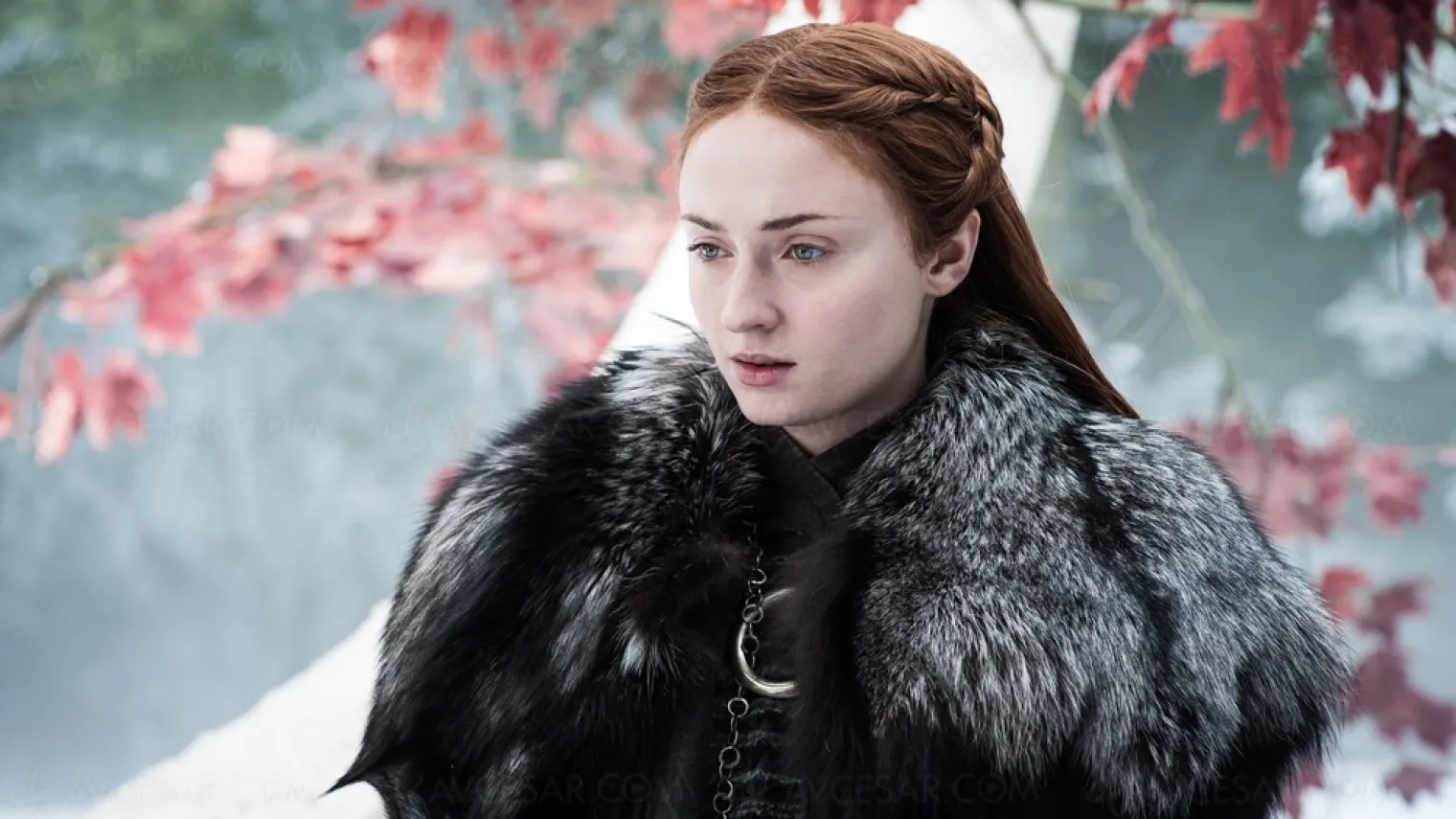 winter-is-coming-next-year-game-of-thrones-saison-8-tres-certainement-en-2019