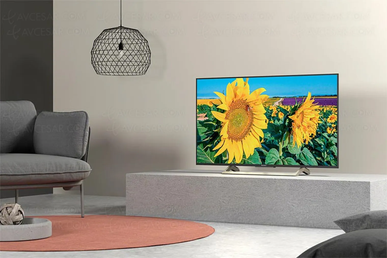 ces-18-tv-led-ultra-hd-sony-xf8005-43-49-et-55-annonces