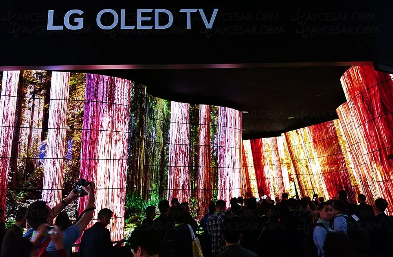 ces-18-le-canyon-tv-oled-lg-vole-la-vedette-au-salon-ces-de-las-vegas-2018