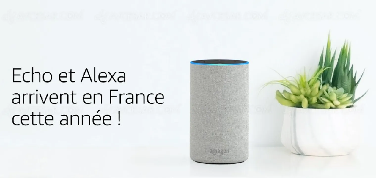 amazon-echo-et-alexa-enfin-en-france-officiel