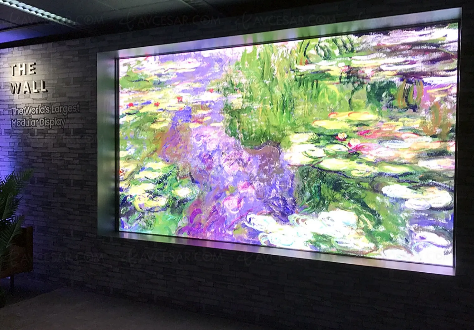 tv-micro-led-146-samsung-the-wall-mise-a-jour-disponibilite-et-prix-indicatif