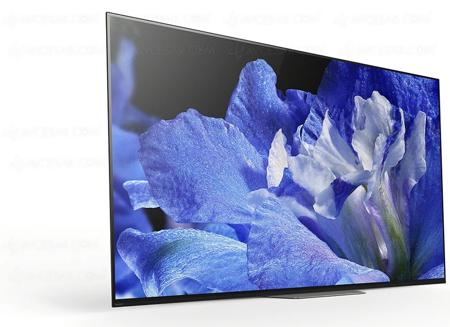 tv-oled-ultra-hd-sony-af8-mise-a-jour-prix-indicatifs