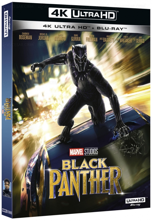 Black Panther coule Titanic et présente son visuel français 4K Ultra HD Blu‑Ray