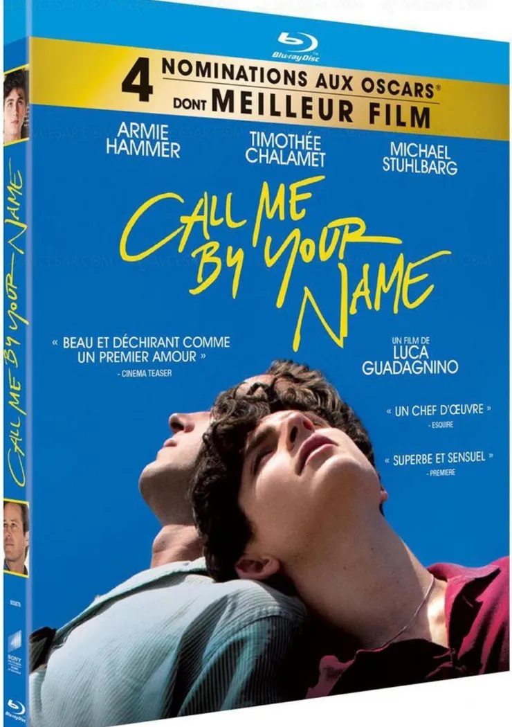 call-me-by-your-name-pour-un-amour-de-vacances